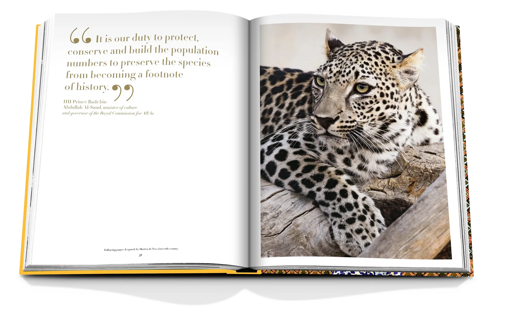 Arabian Leopard by Andrew Spalton - Image 5
