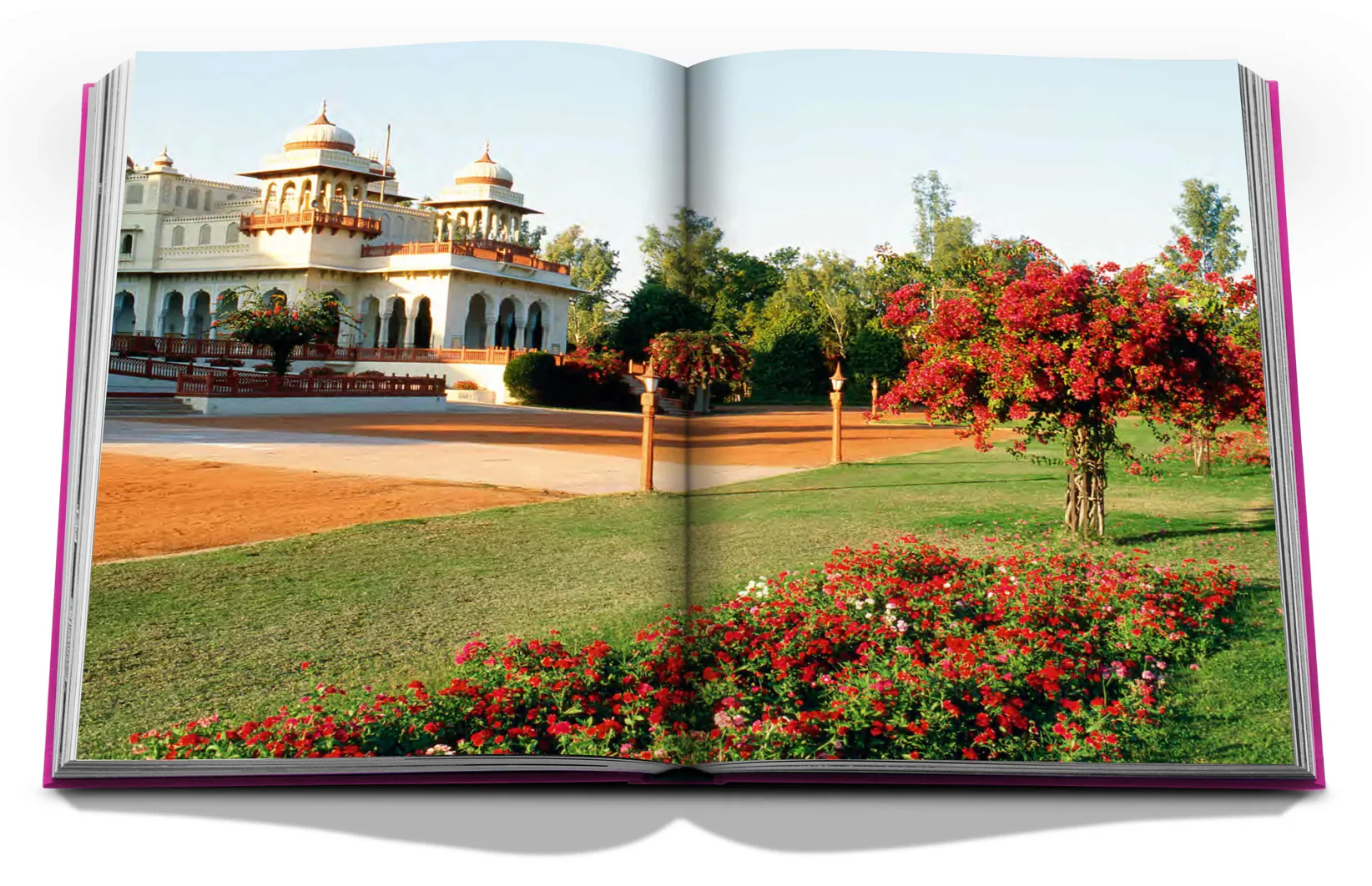 Jaipur Splendor by Mozez Singh - Image 12