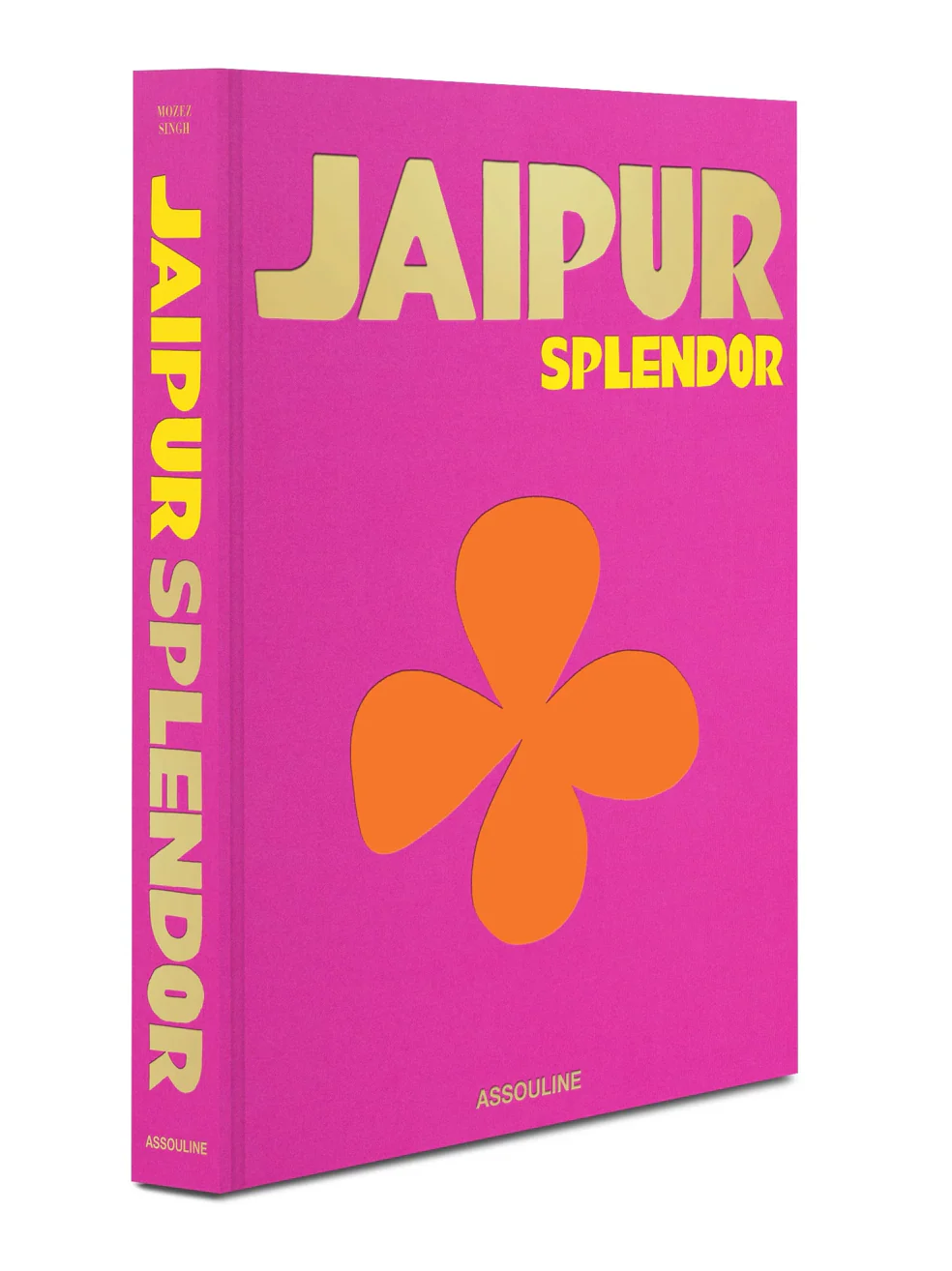 Jaipur Splendor by Mozez Singh - Image 3
