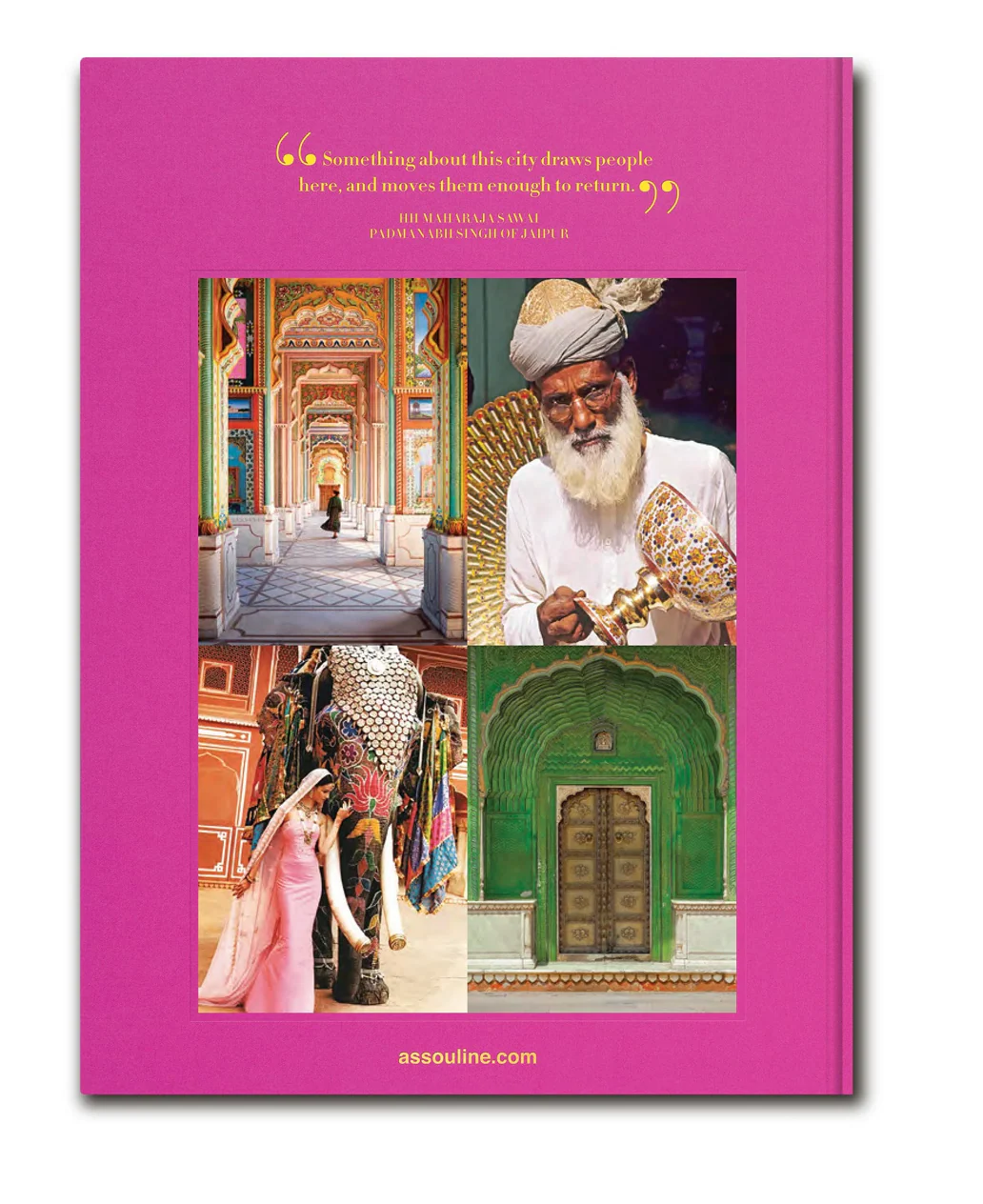 Jaipur Splendor by Mozez Singh - Image 4
