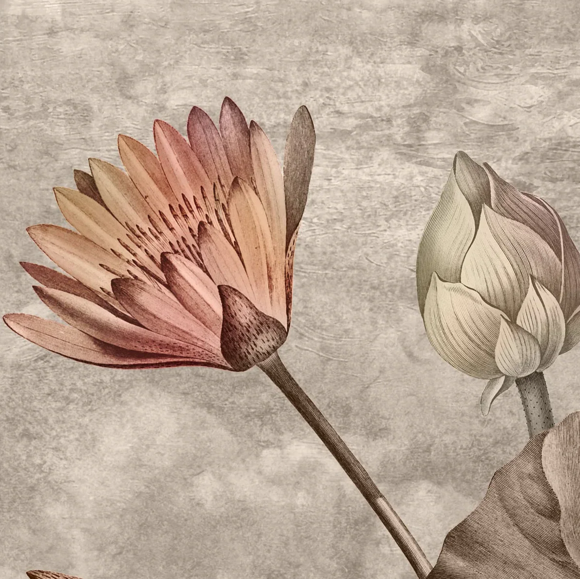 'Lotus Leaves' Wallpaper - Image 4