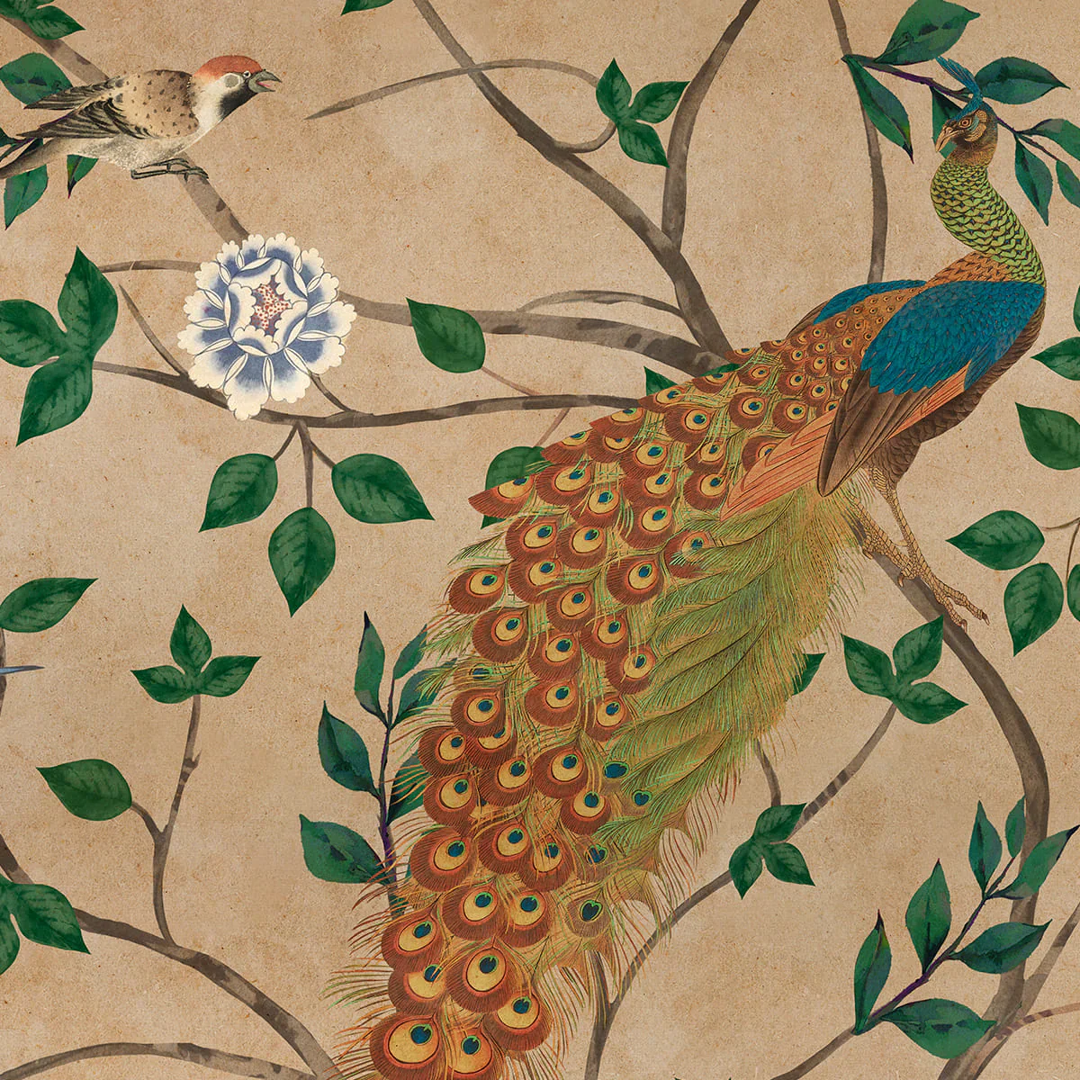 ‘Pakhi' Wallpaper - Image 4