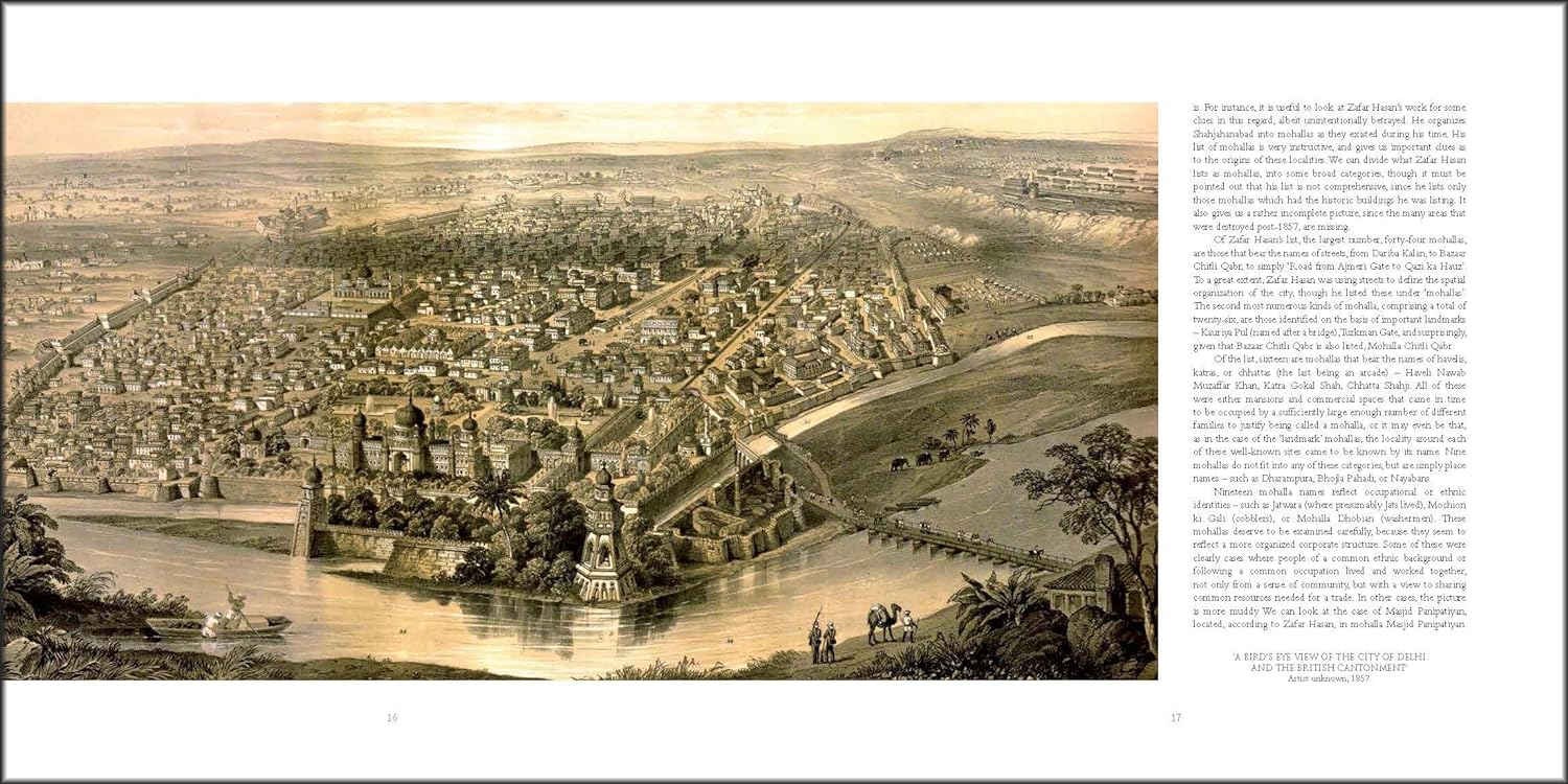 Shahjahanabad: Mapping a Mughal City - Image 6